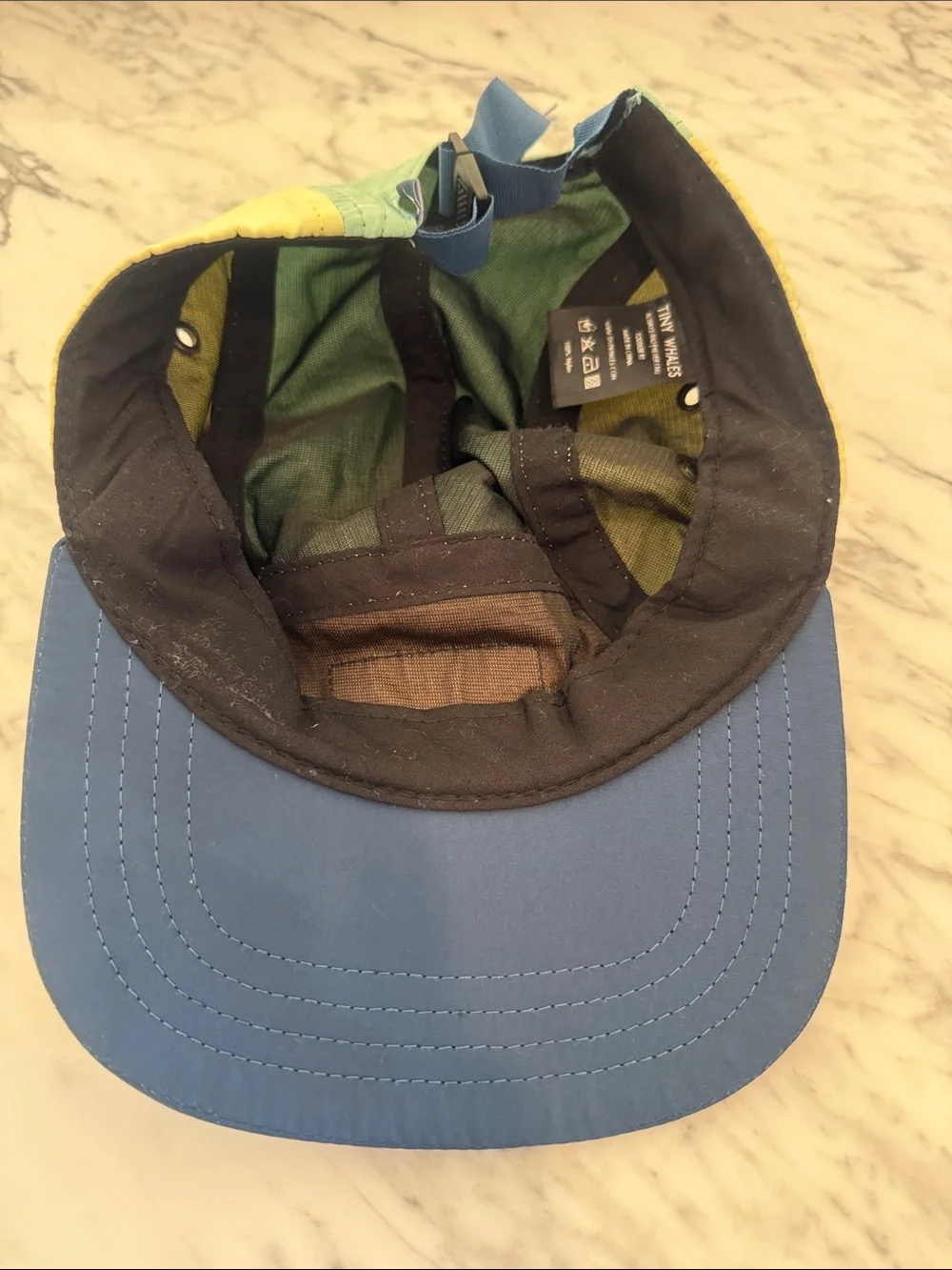 Tiny Whales Colorblock Hat